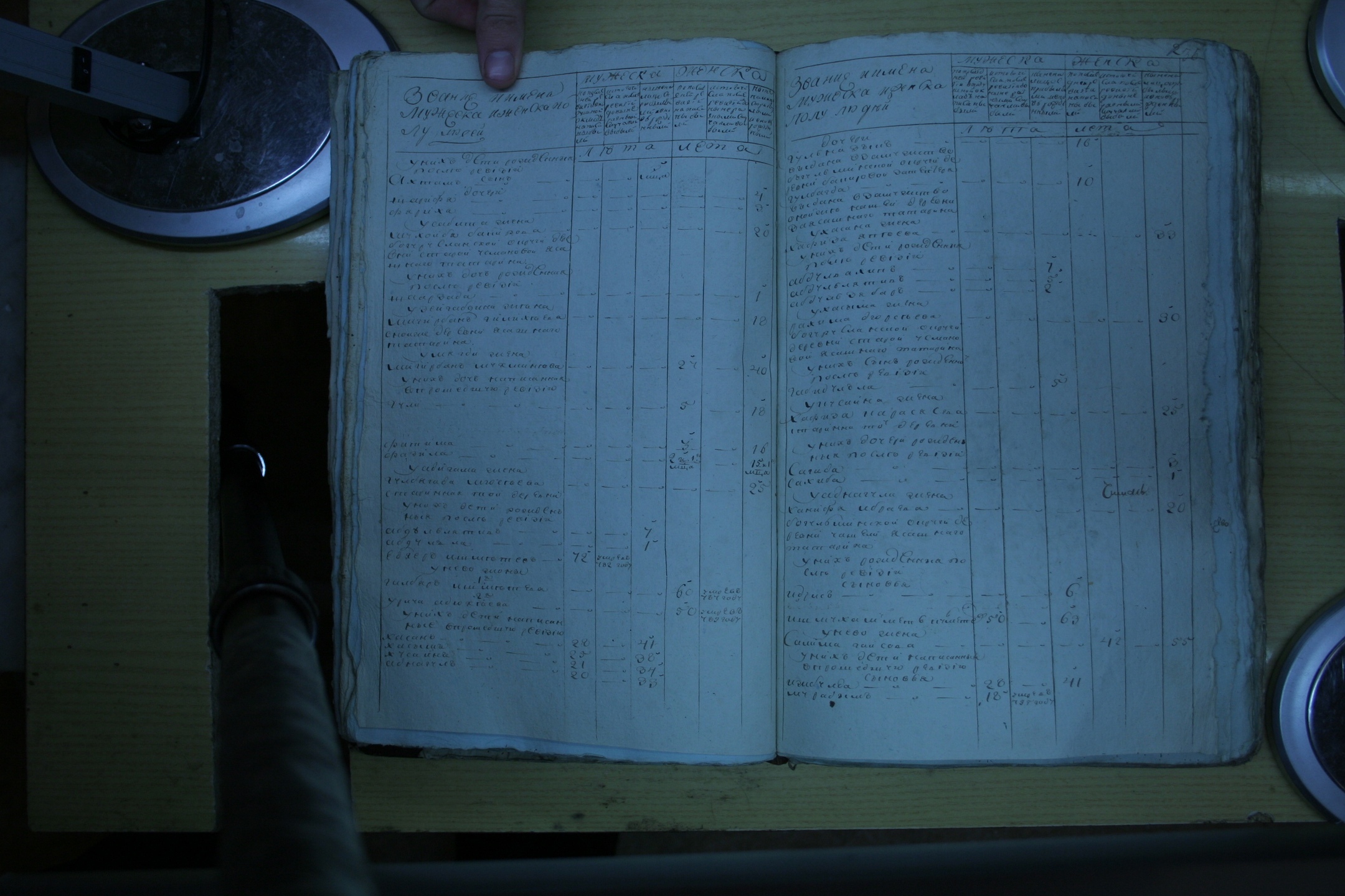 ГАОО - Ревизии - Ф. 98, оп. 2, д. 9 (1) - 1795 г_041-LAtdIp9-55g.jpg