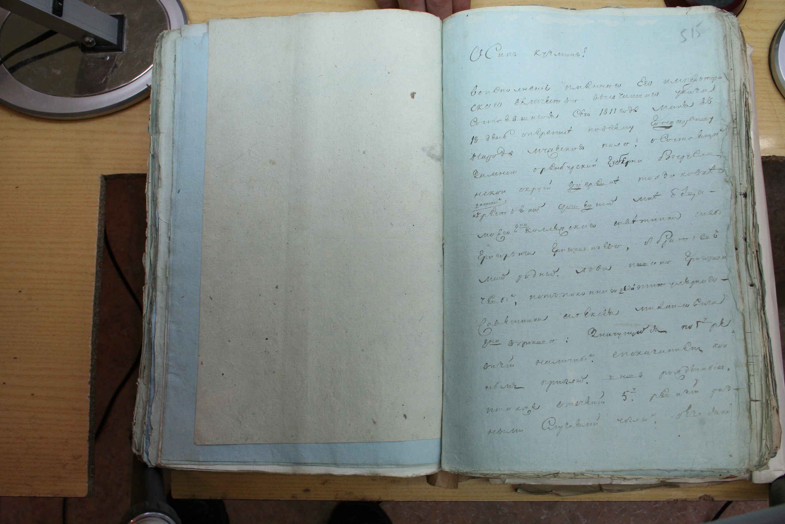 ГАОО - Ревизии - Ф. 98, оп. 2, д. 19 (3) - 1811 г_028-Punddl8EA78.jpg