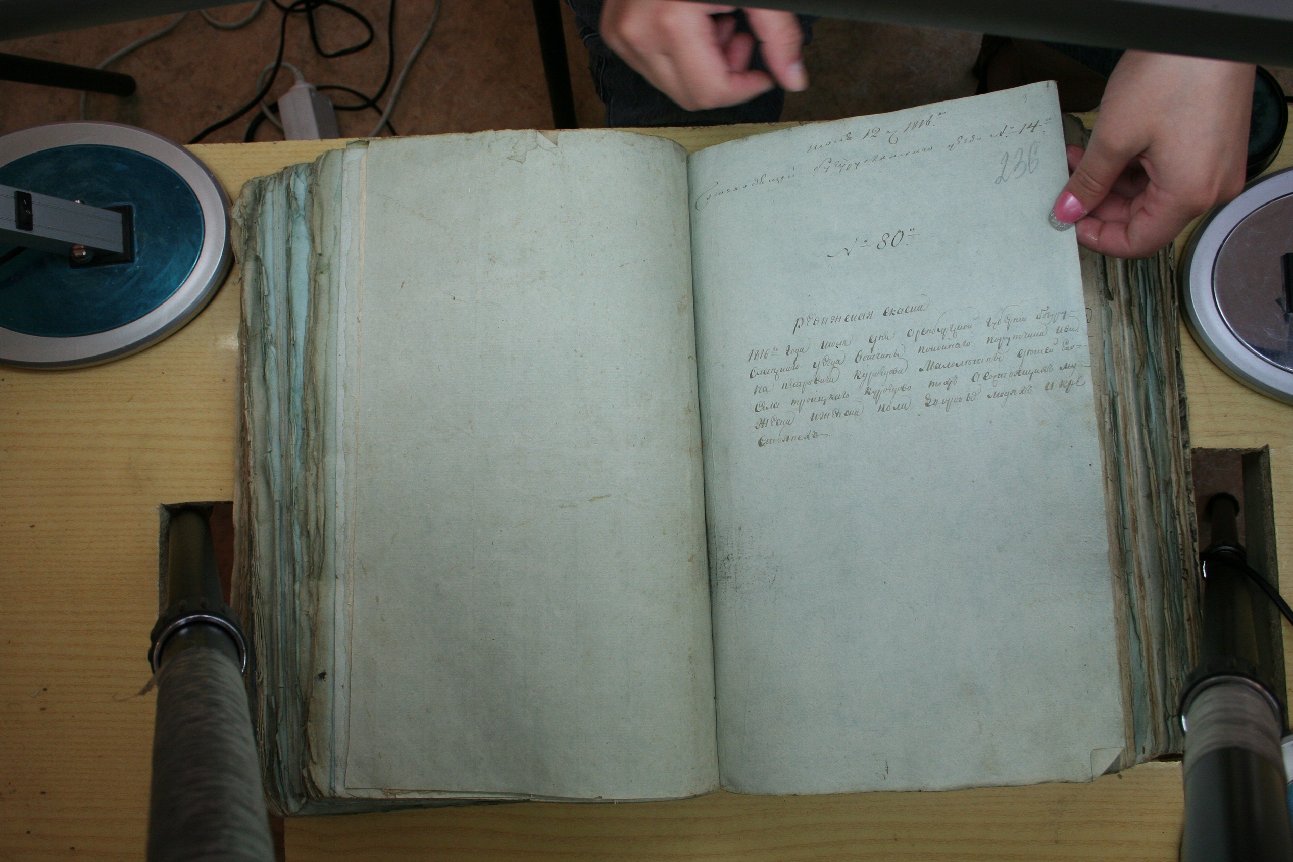 ГАОО - Ф. 98, оп. 2, д. 39 (2) - Ревизская сказка 1816_060-eMCm8xR5Lhg.jpg